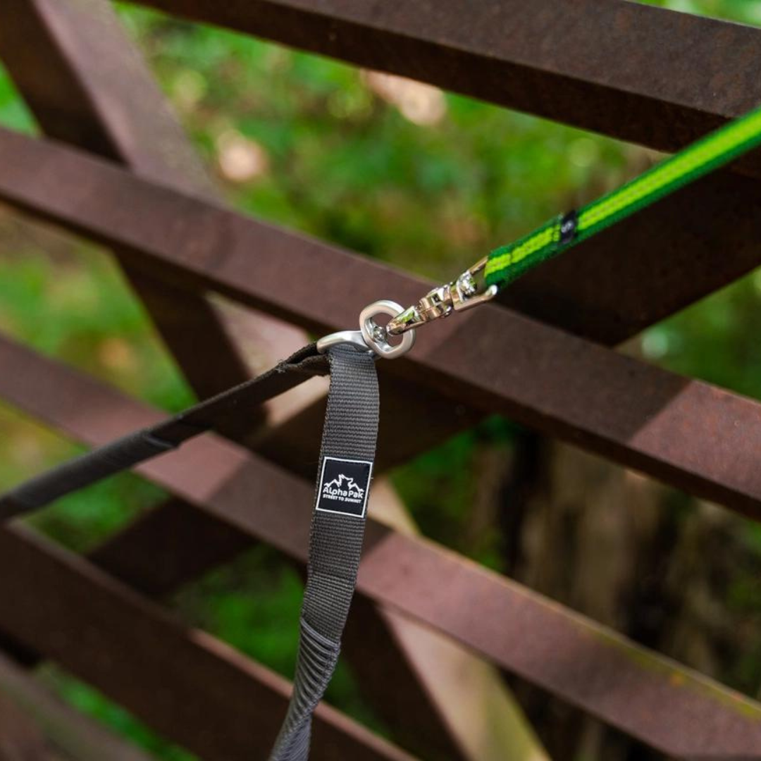 Teton Elastic Dog Leash Coupler - Dark Gray