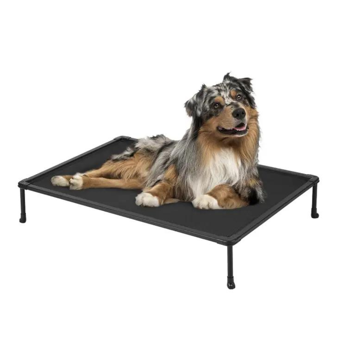 Large chew sales proof dog bed