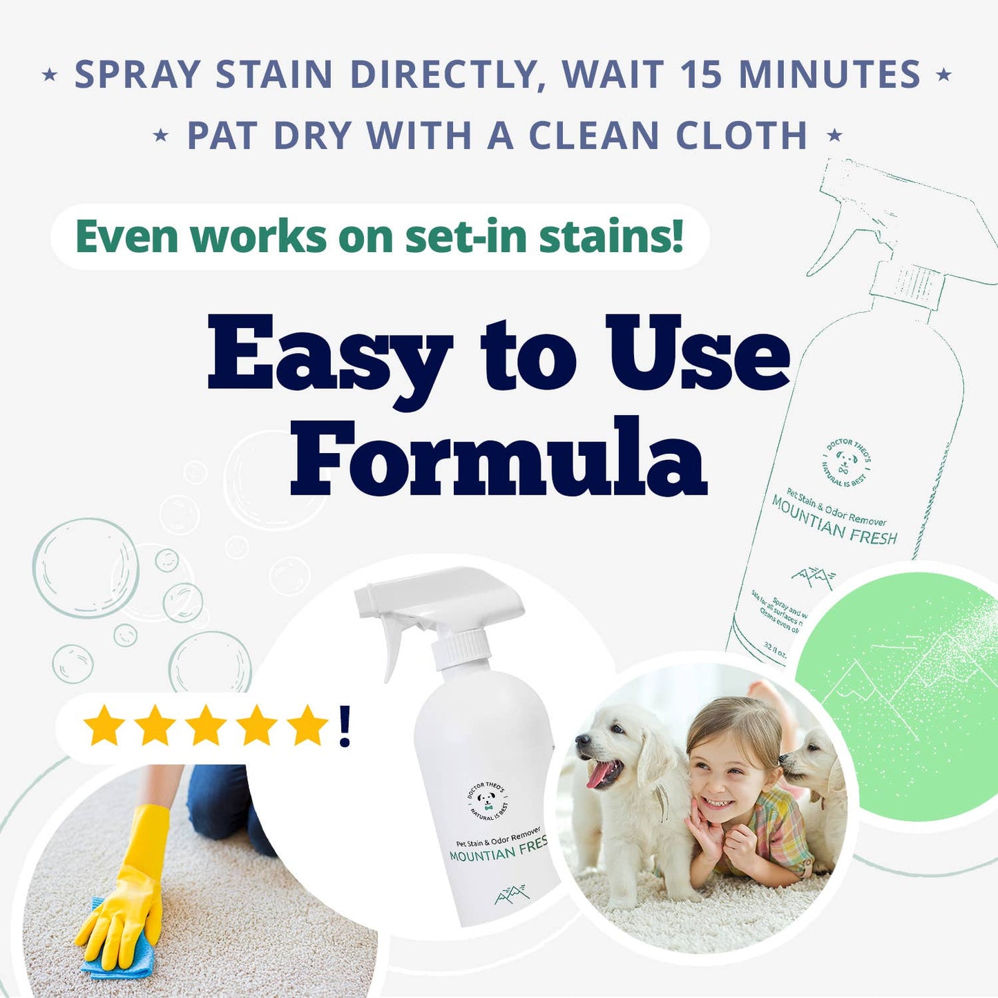 Dr. Theo's Stain & Odor Remover - Mountain Fresh - 32 oz