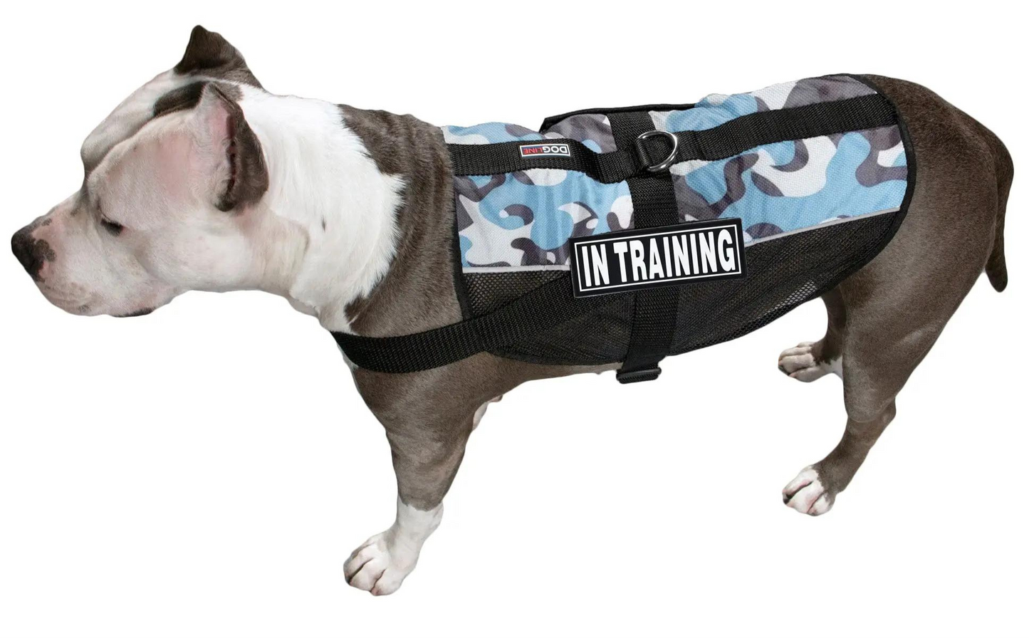 3D Rubber Removable Harness Patches - IN TRAINING