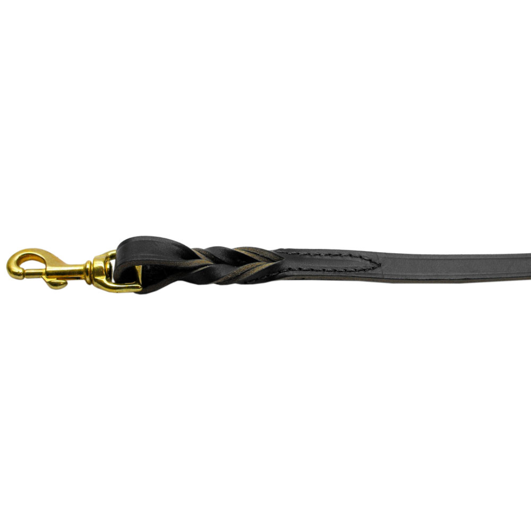 Twisted Leather Leash