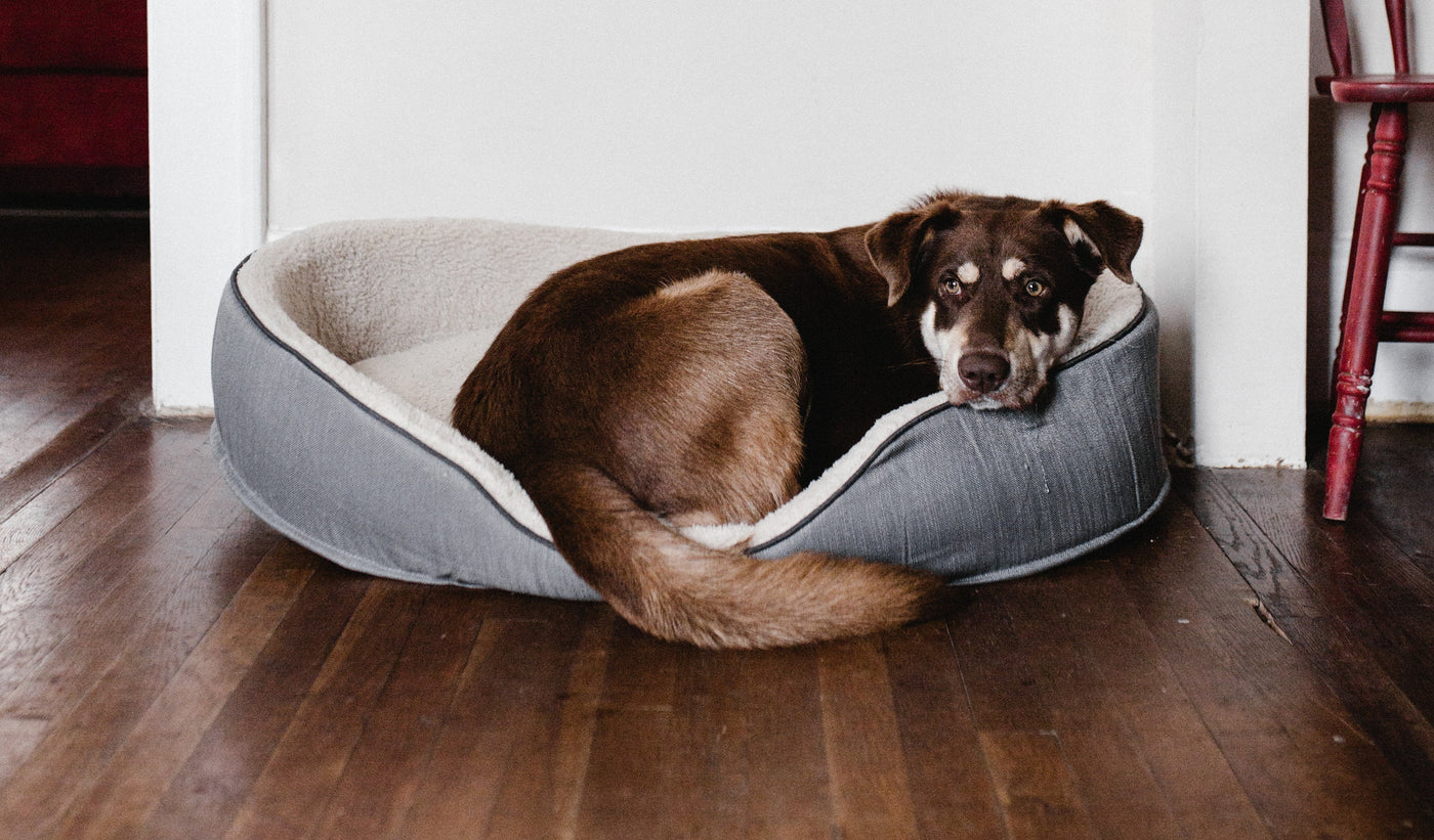 Bedding