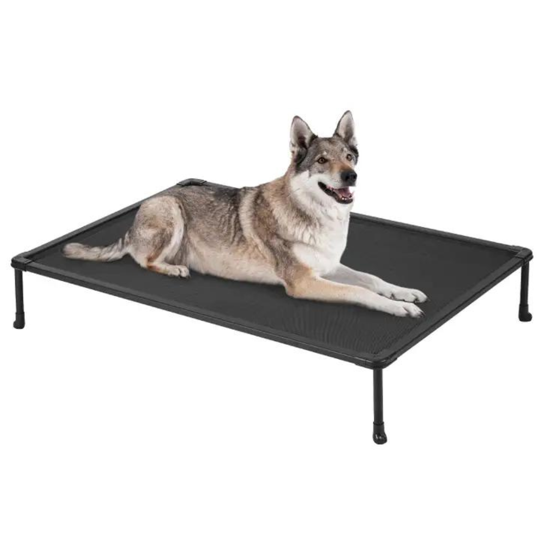 Indoor/Outdoor Elevated Chew-Proof Dog Bed - Black