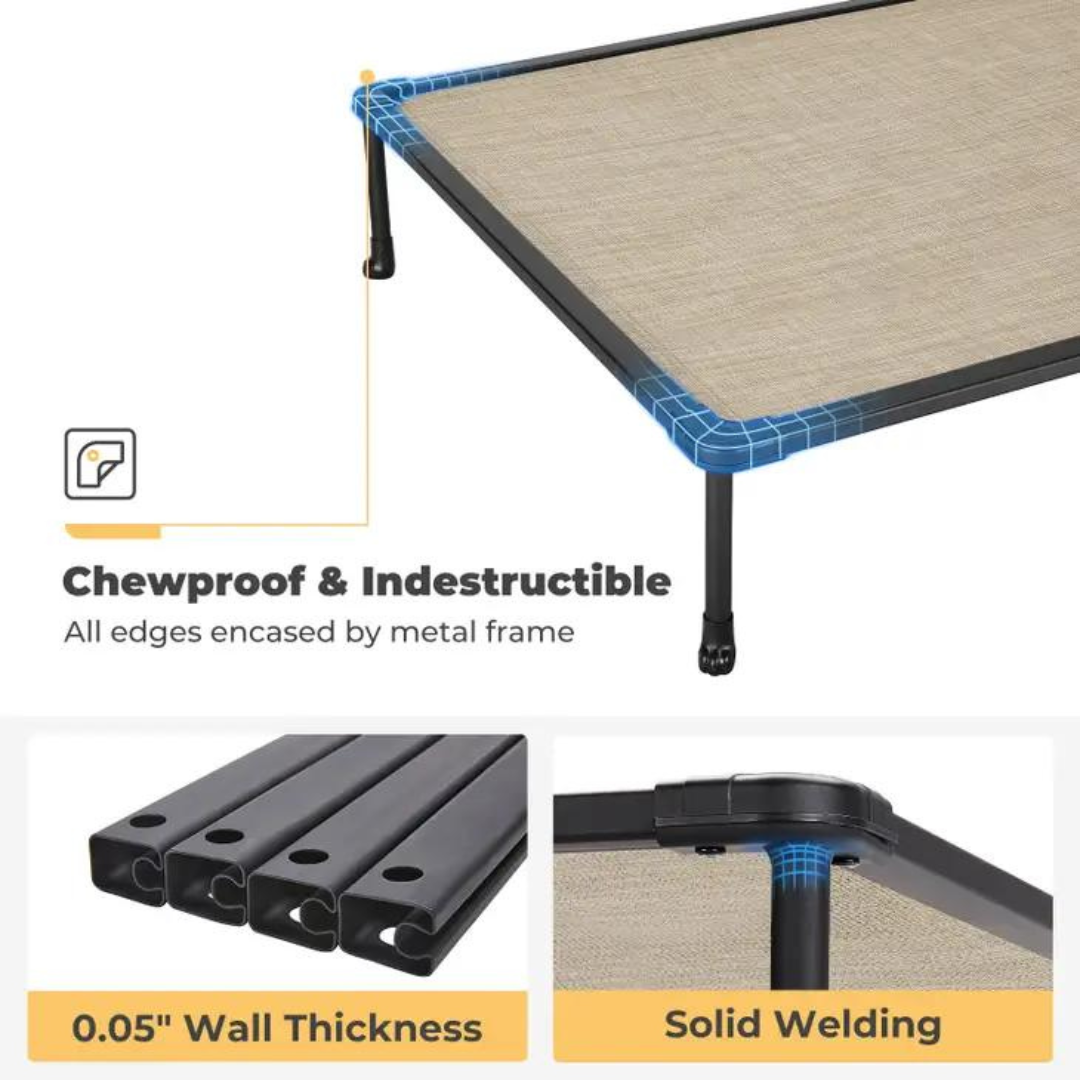 chew proof metal bed materials with solid welds on legs