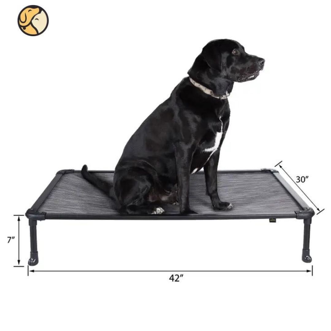 Large chew sales proof dog bed