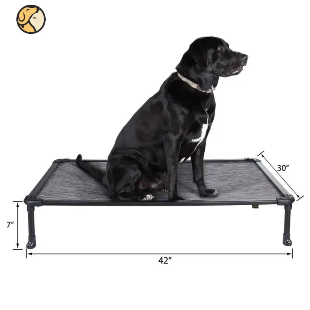 Large chew 2024 proof dog bed