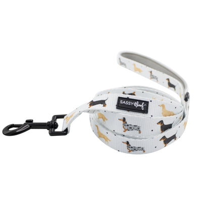 '101 Dachshund' Fabric Dog Leash