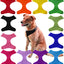 Soft Mesh Harness (Various Colors)