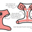 'BG Black' Adjustable Dog Harness
