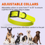 Biothane Waterproof Collar