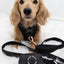 'BG Black' Dog Waste Bag Holder