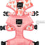 'Dolce Rose' Reversible Dog Harness