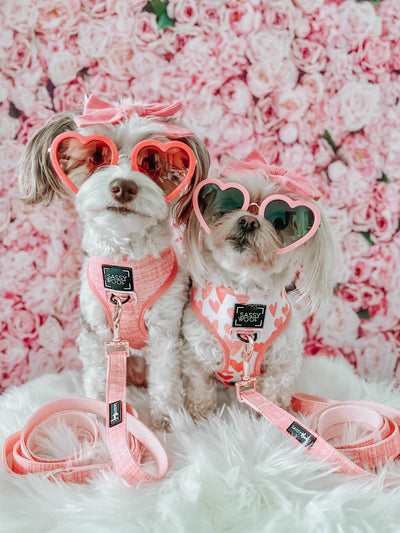 'Dolce Rose' Reversible Dog Harness