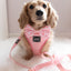 'Dolce Rose' Fabric Dog Leash