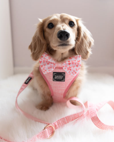 'Dolce Rose' Fabric Dog Leash