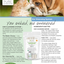 ear cleansing system ingredients and benefits 
