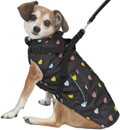 Puffy Heart Harness Coat - Fashion Pet - Black