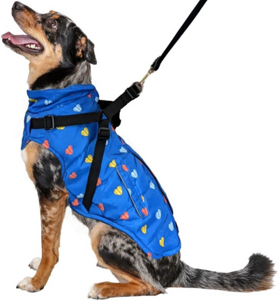 Puffy Heart Harness Coat - Fashion Pet - Blue
