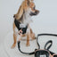 'I Do Too' Dog Waste Bag Holder (Black)
