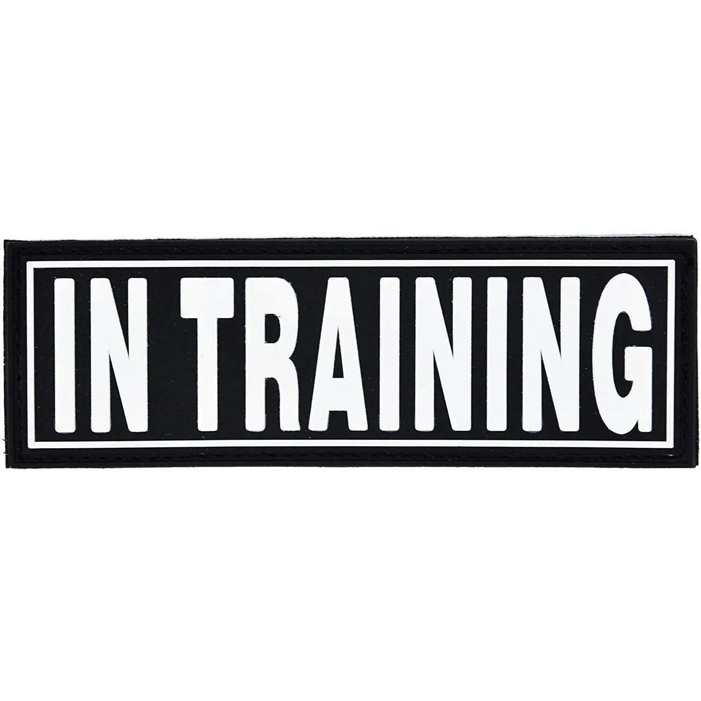 3D Rubber Removable Harness Patches - IN TRAINING