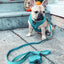 'Napa' Dog Waste Bag Holder