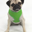 Soft Mesh Harness (Various Colors)