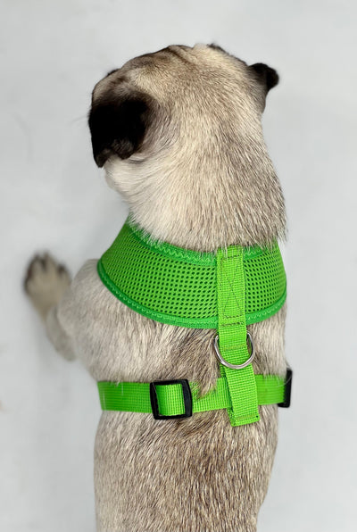 Soft Mesh Harness (Various Colors)