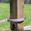 Spruce Dog Leash