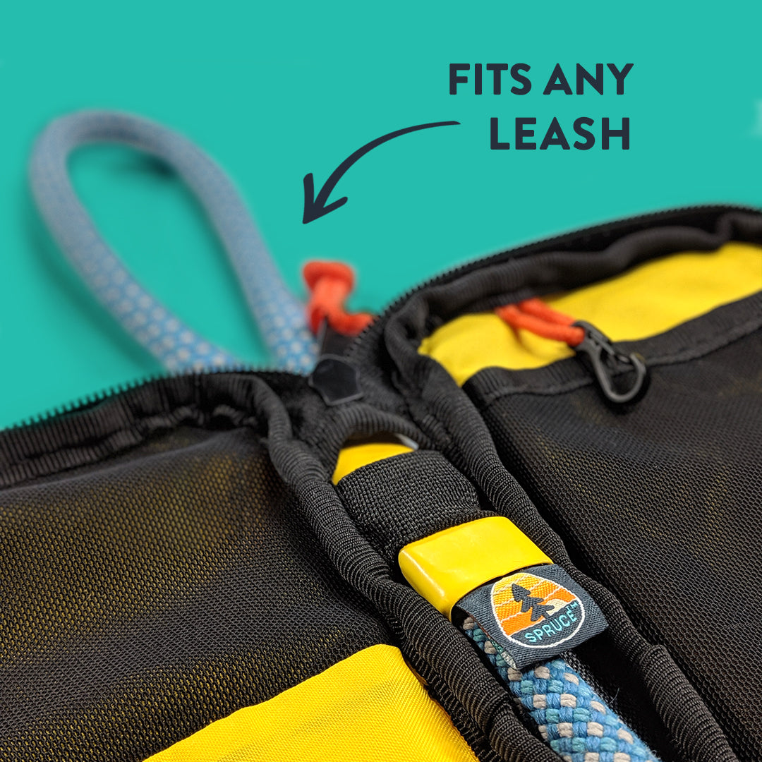 Spruce Grab & Go Leash Bag