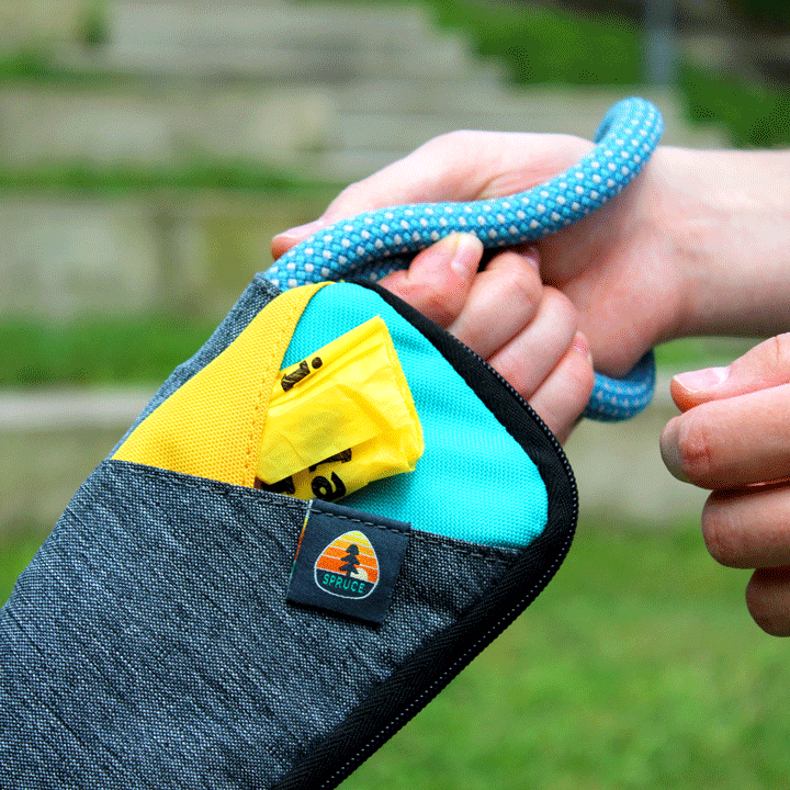 Spruce Grab & Go Leash Bag