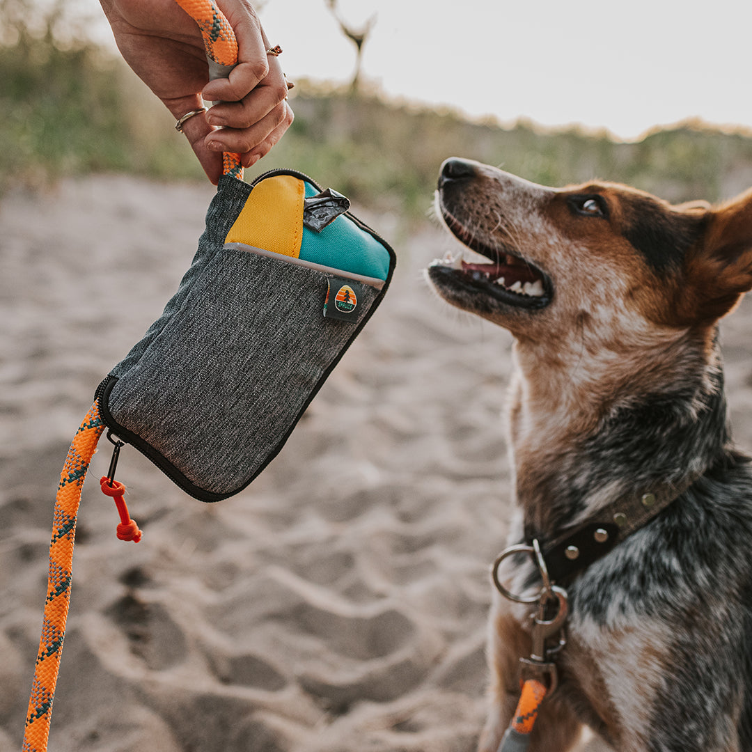 Spruce Grab & Go Leash Bag