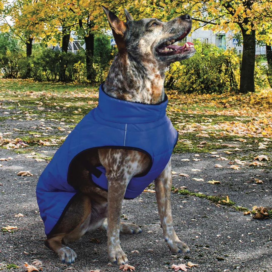 Basecamp Parka - 4 colors
