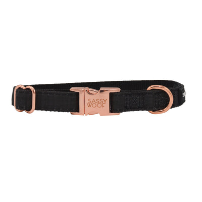 'BG Black' Dog Collar