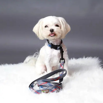 Flannel PJ's Plaid Dog Leash - (2 Colors)