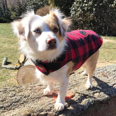 Buffalo Plaid Fleece Lined Coat