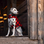 Buffalo Plaid Fleece Lined Coat