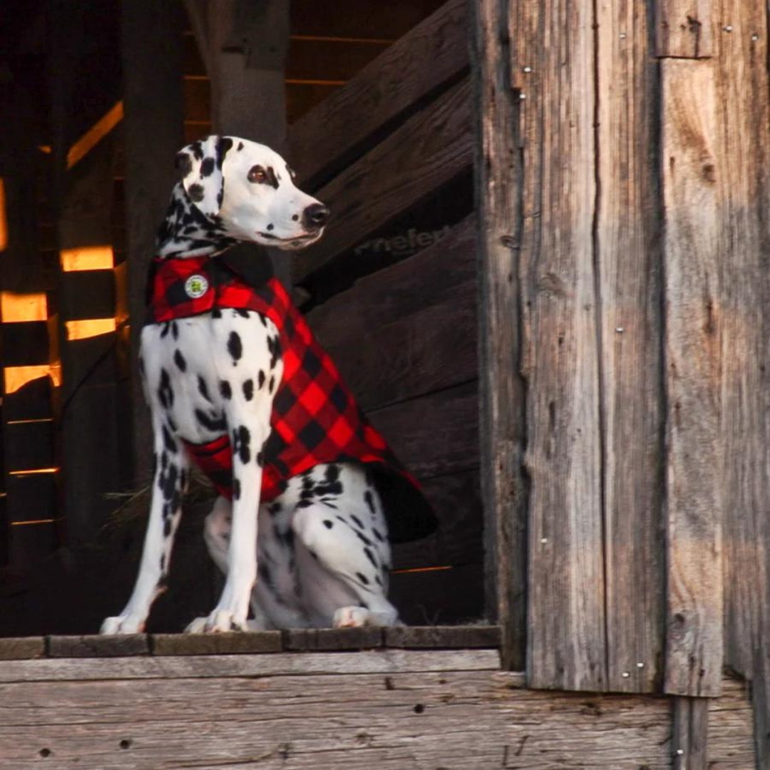Buffalo Plaid Fleece Lined Coat