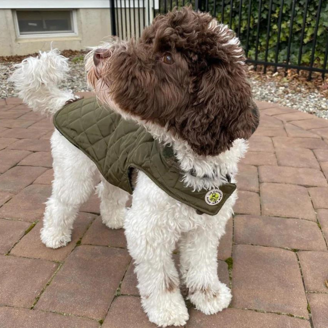 Camo Diamond Quilted Coat - Green