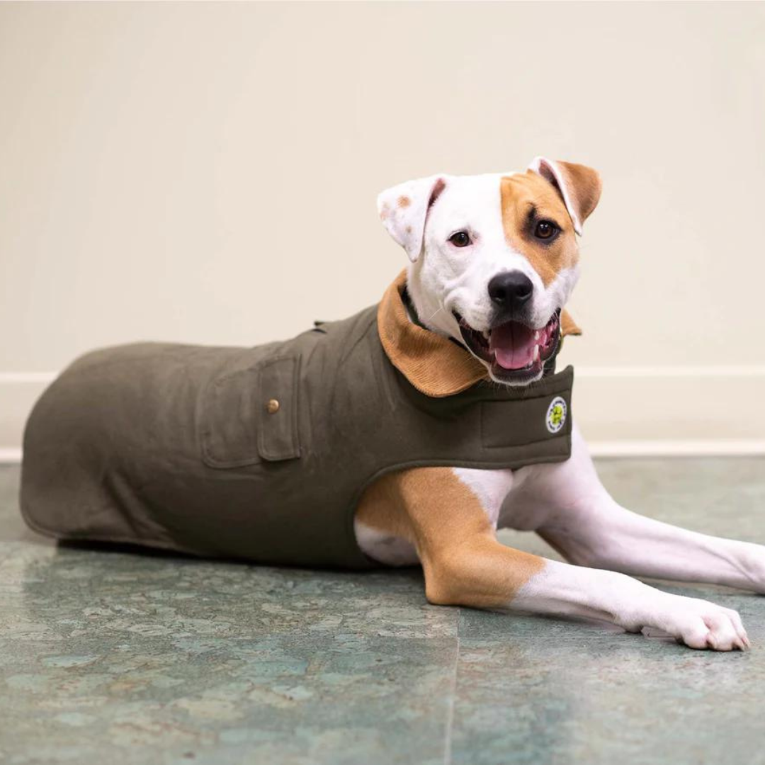 Dog barn coat new arrivals