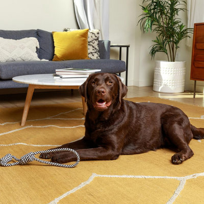 Striped Knot Rope Toy - Black