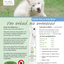 Flea & Tick Canine Spray