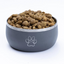 Stainless Steel Powder Coated Dog Bowl - 34 oz - (3 colors)