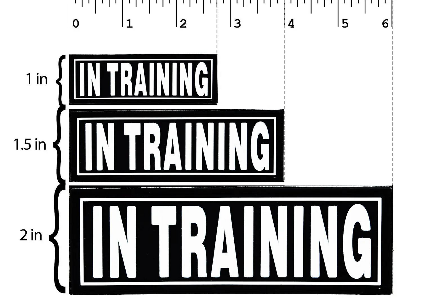 3D Rubber Removable Harness Patches - IN TRAINING