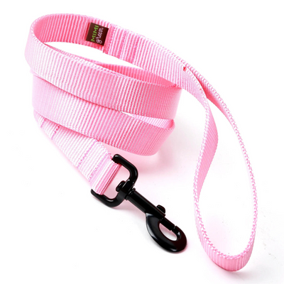 Mimi Nylon Webbing Dog Leash - Pink or Raspberry