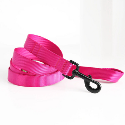 Mimi Nylon Webbing Dog Leash - Pink or Raspberry