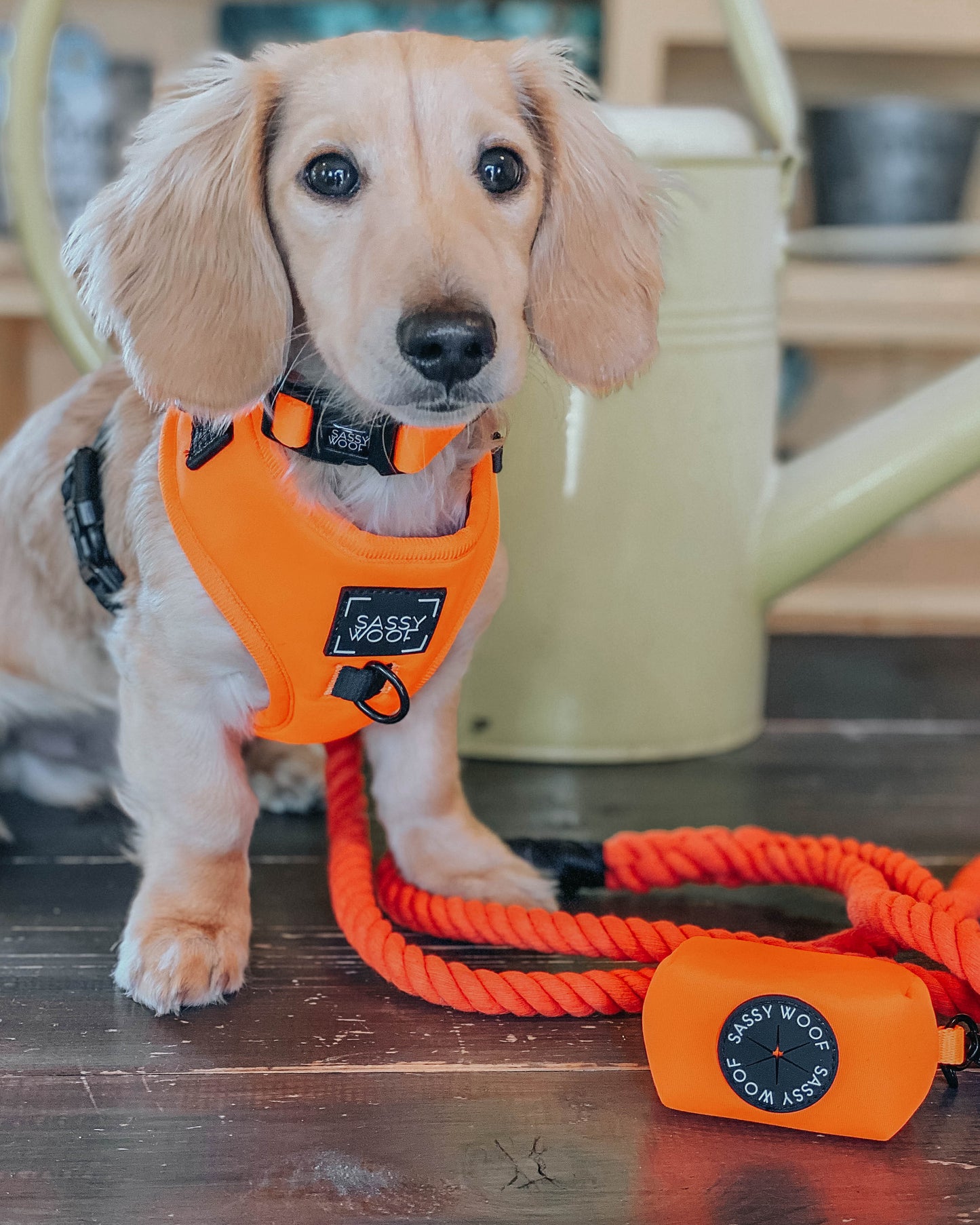 'Neon Orange' Dog Waste Bag Holder