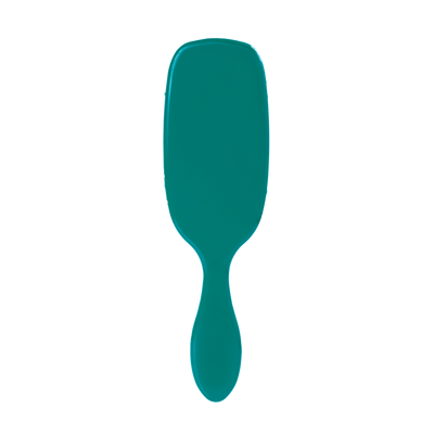 PetBrush Smooth & Shine Brush - Teal