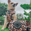 'Sass Gone Wild' Dog Waste Bag Holder