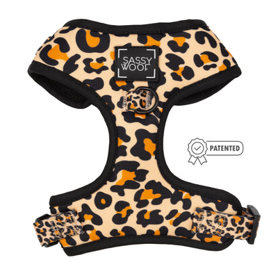 'Sass Gone Wild' Adjustable Dog Harness