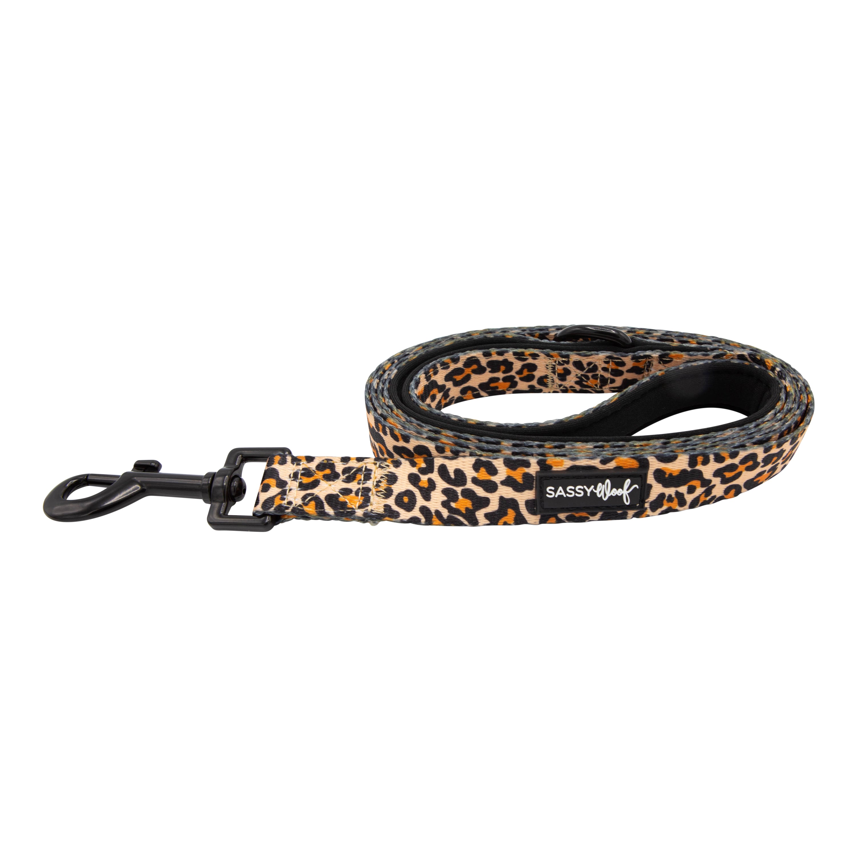 Sass dog walking outlet belt